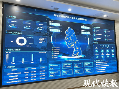 經略海洋看江蘇⑤ | 只此青綠，鹽城展現‘國際濕地、沿海綠城’魅力活力